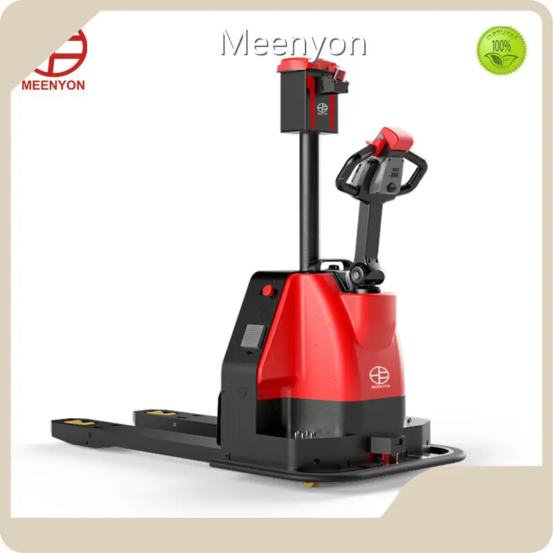Powered Pallet Lori Meenyon 1