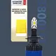 Standard Small Car Light Bulbs CSP3570 HAOXUNDA Company 2