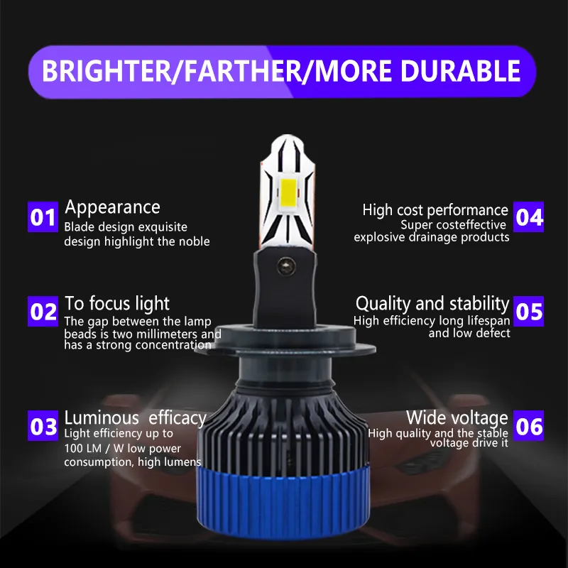 Standard Small Car Light Bulbs CSP3570 HAOXUNDA Company 4