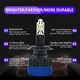 Standard Small Car Light Bulbs CSP3570 HAOXUNDA Company 4
