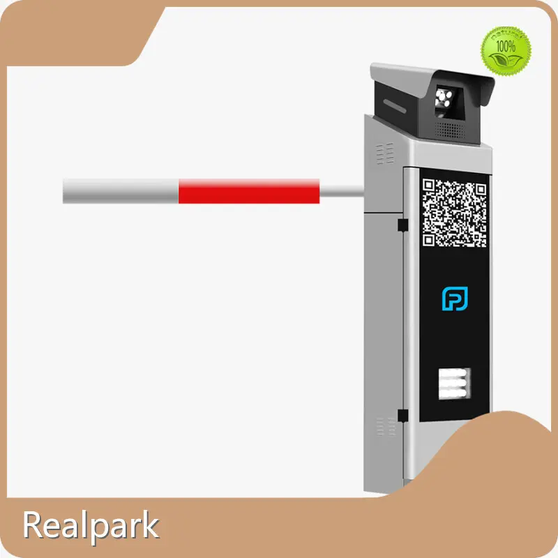 Custom Automatic License Plate Recognition Realpark 0.01Lux ≈70kg RPL-XY01 1