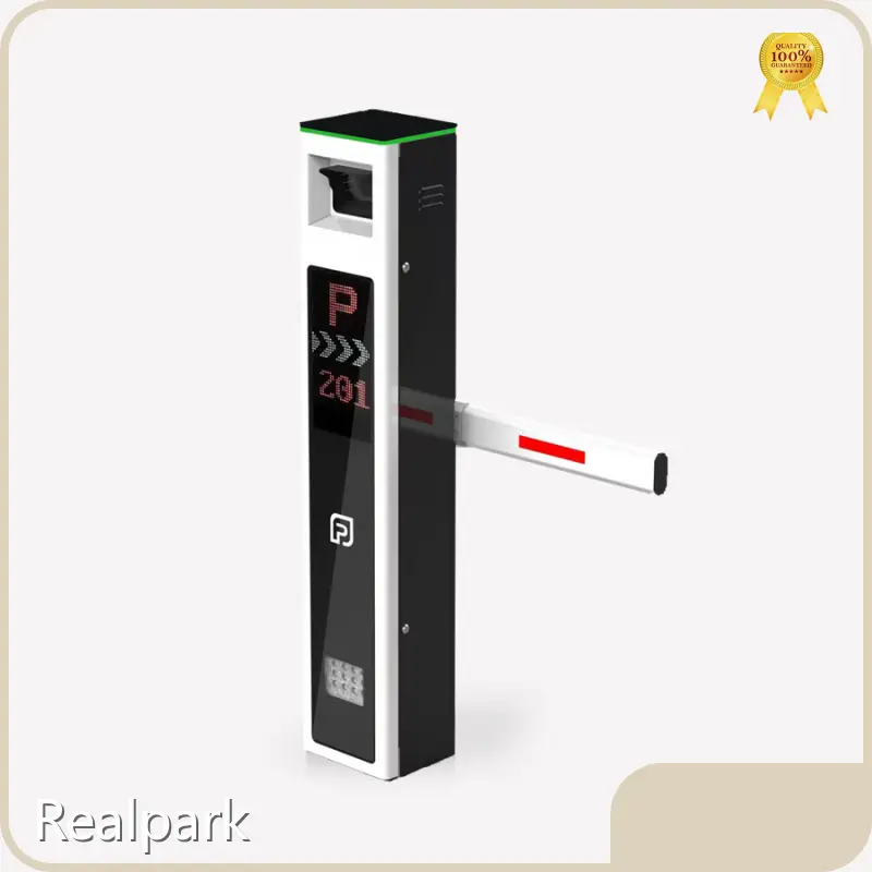 Licence Plate Detection at Wholesale Prices | Realpark 1
