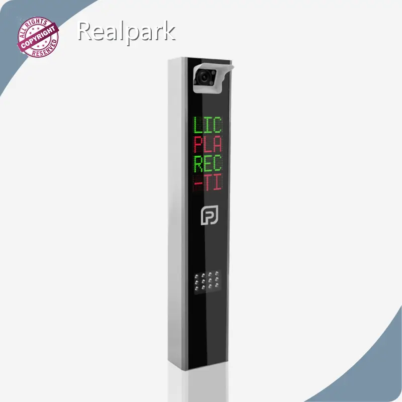 Realpark Licence Plate Detection, Supports SD2.0 Micro SD (TF) Cards with a Maximum Capacity of 128GB, RPL-YY01 | Realpark 1