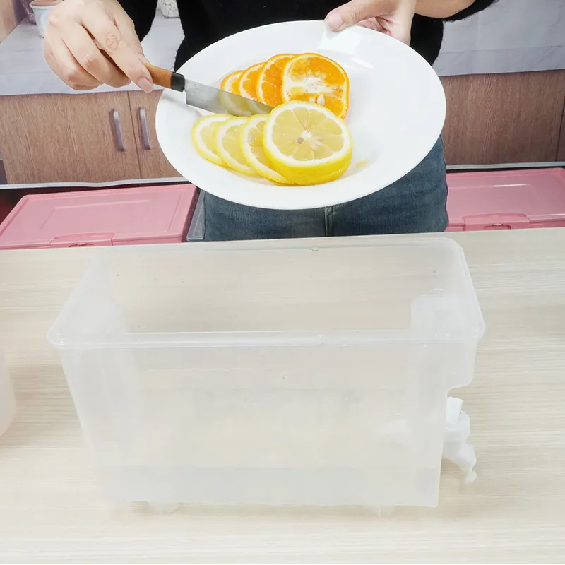 Refrigerator Beverage Organizer Manufacture PP 6