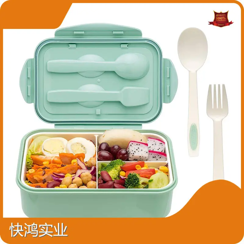 Plastic Lunch Boxes Customized 21*14.5*5.5cm 1
