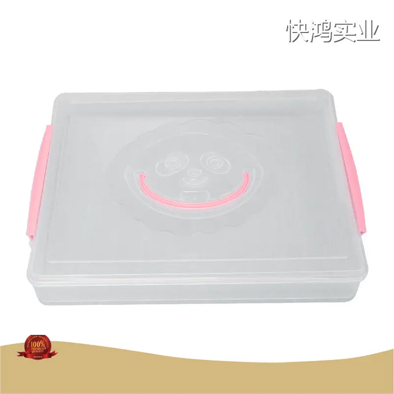 Egg Storage Box for Fridge Manufacture PP Customized 1