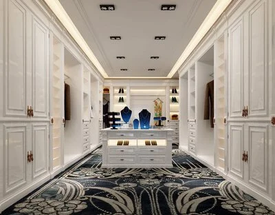 Minimalist Elegance: Walk-in Cloakroom in Haute Style 1