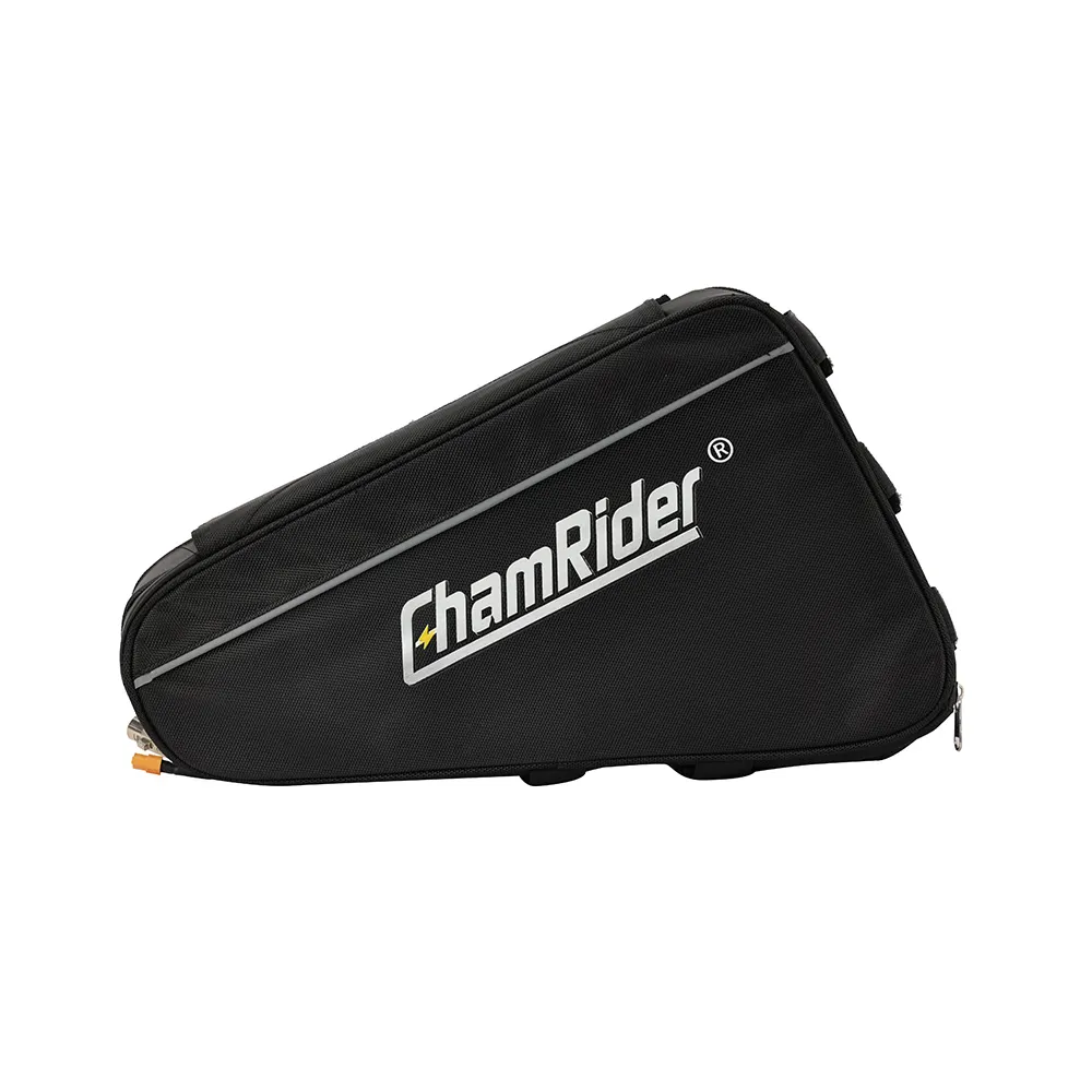 The Benefits Of Using A Triangle Battery In Your Ebike 1