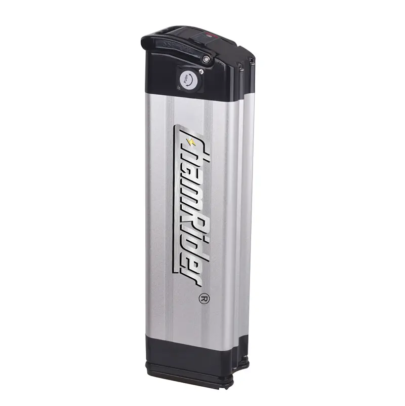 The Power Of Silverfish: Exploring The Benefits Of A 48V Battery 1