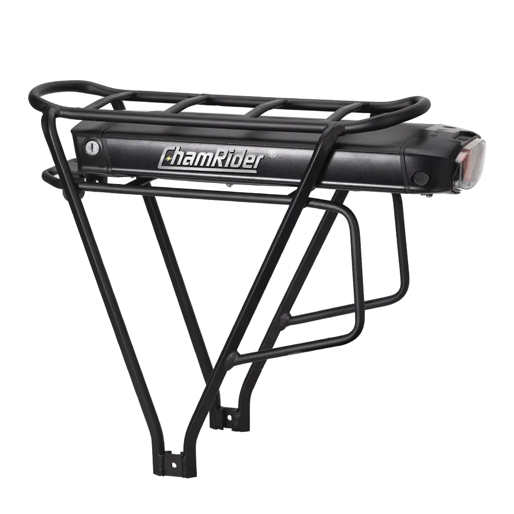 Unlocking The Power: The Benefits Of A 48V Rear Rack E-Bike Battery 1