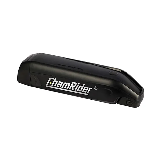 Revolutionizing E-Bikes: The Rise Of Down Tube Battery Technology 1