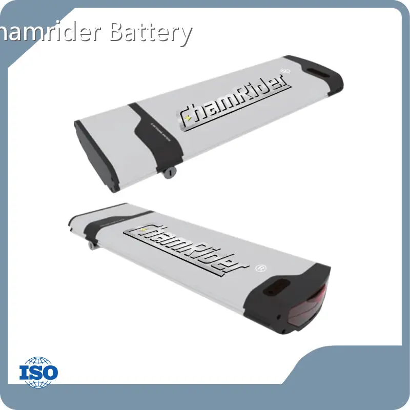 Custom Ebike Battery Company for Electric Bicycle 1