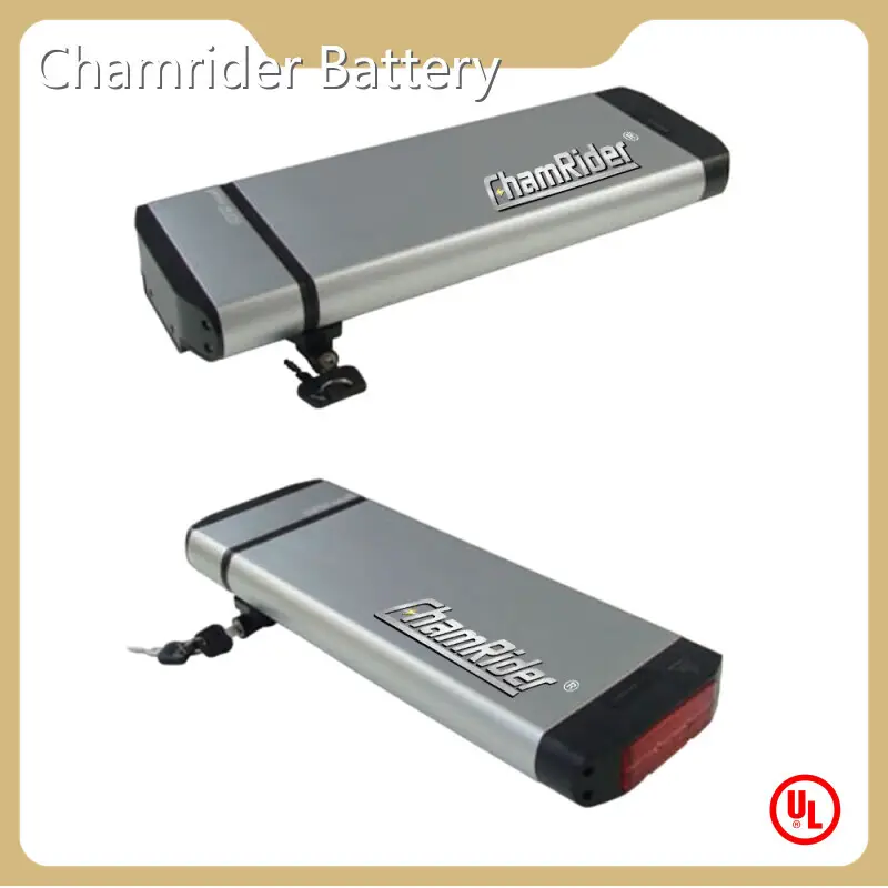 E Bike Battery Factory Chamrider Battery 1