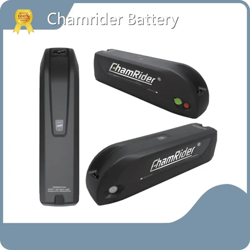 Hailong Downtube Battery Chamrider Battery, 1