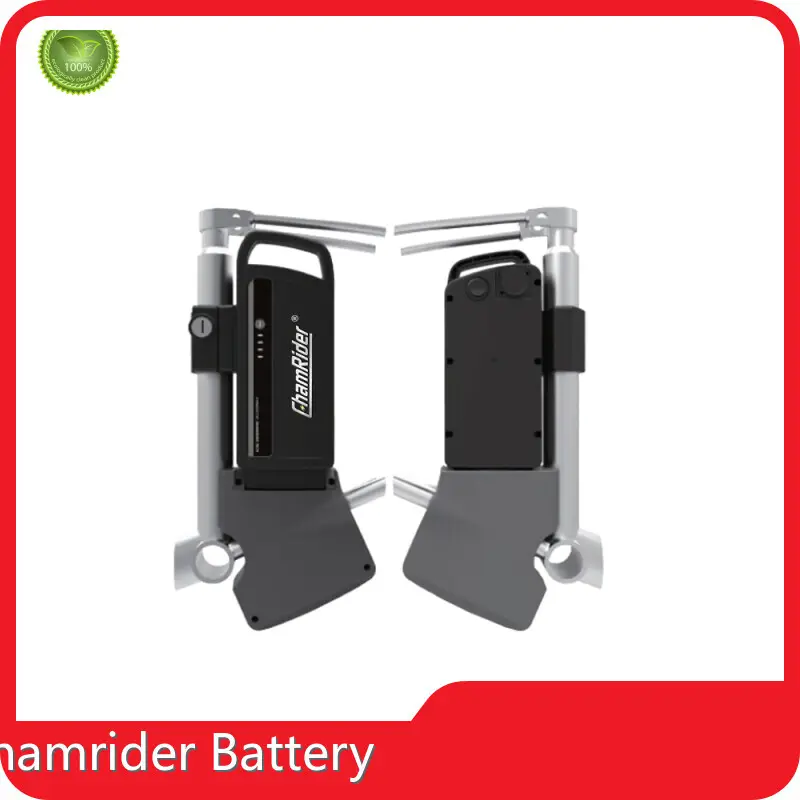 Silver Fish Battery 36v Chamrider Battery Brand Suppliers 1