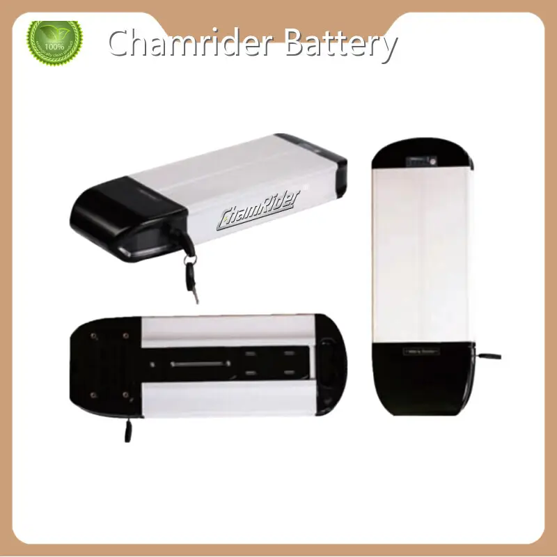 Custom Ebike Rear Rack Battery Chamrider Battery 1