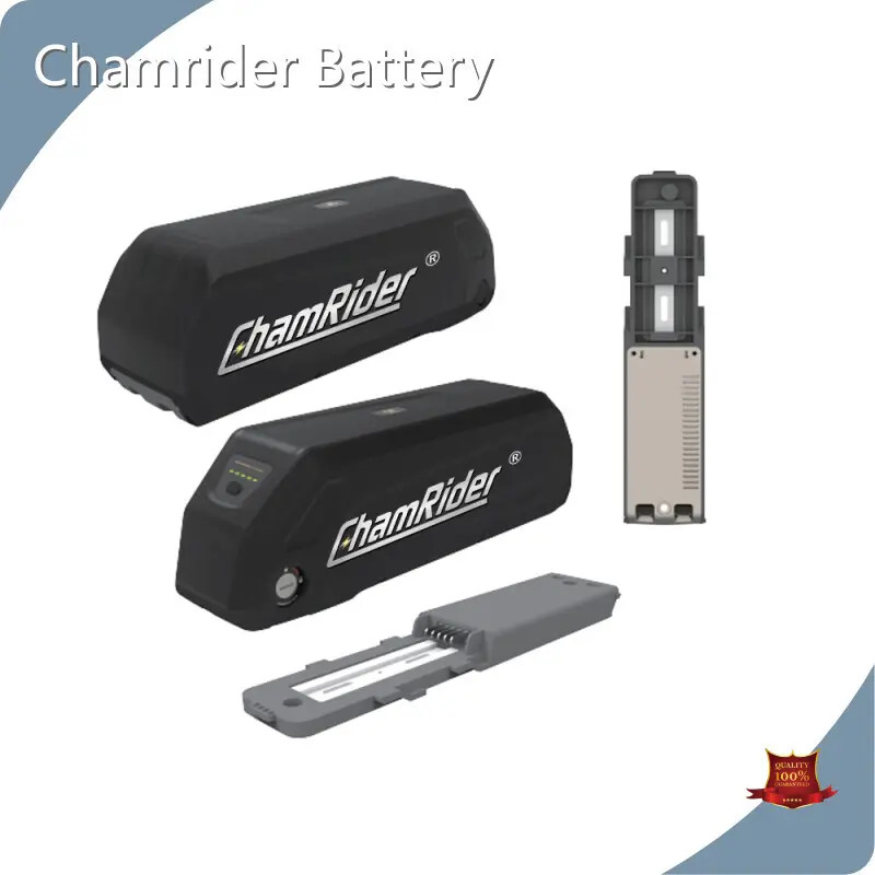 Electric Bicycle Battery Uppliers 1