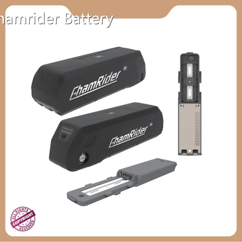 Top Electric Bicycle Battery Pack Factory Chamrider Battery Company 1