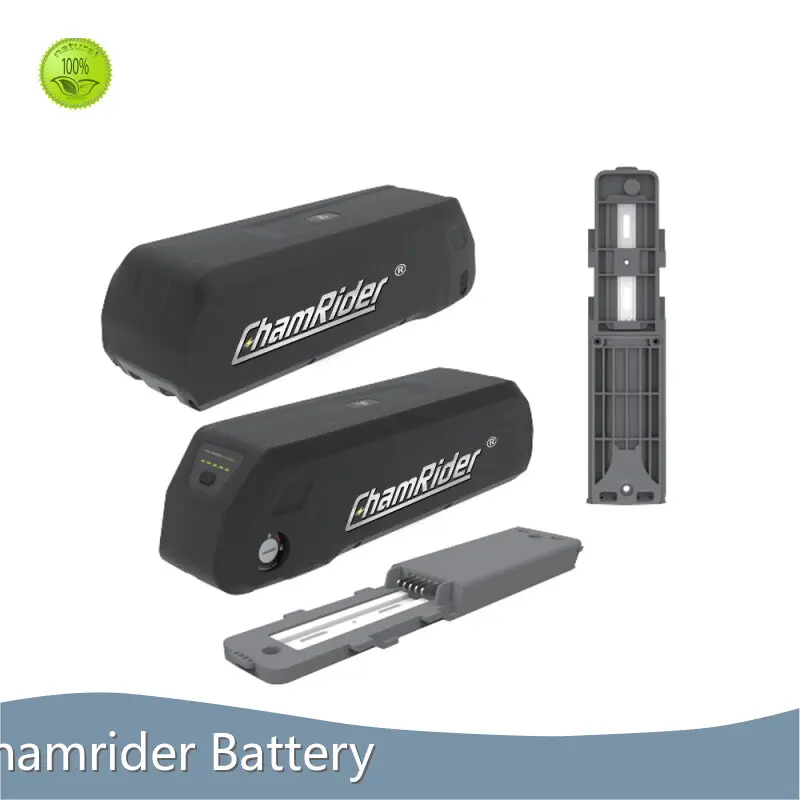 High-quality Electric Bike Battery Brands for Business for Electric Bike 1