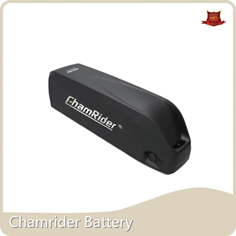 Best Down Tube Type Battery Suppliers for Electric Bicycle 1