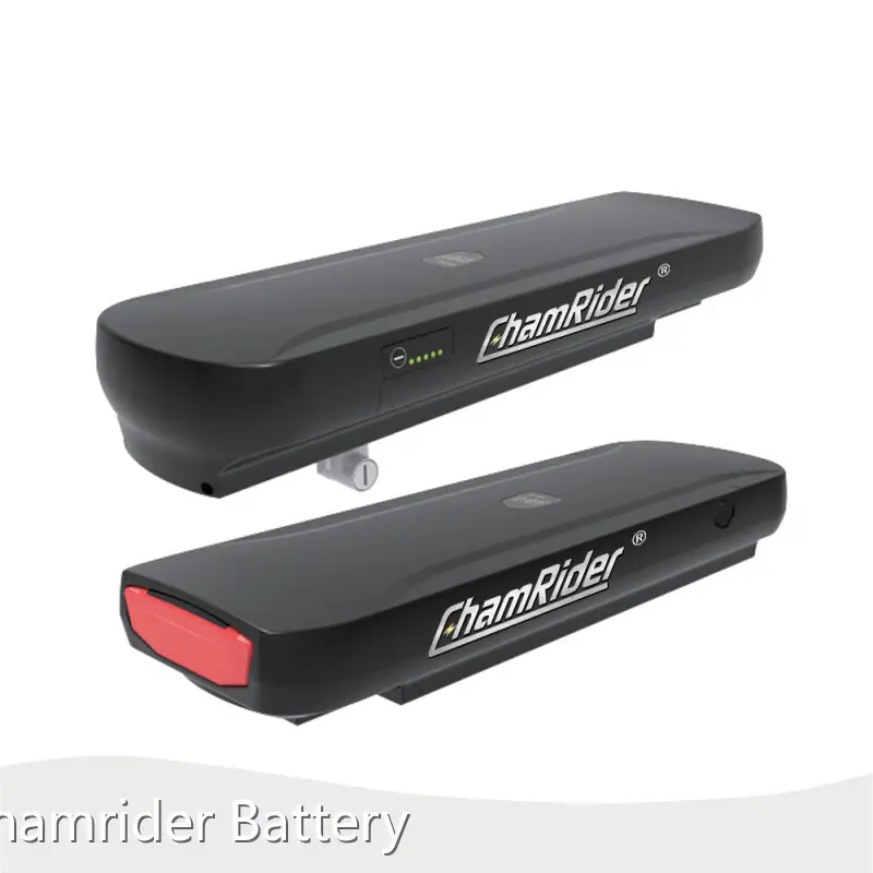 OEM Bike Battery Rack Chamrider Battery 1
