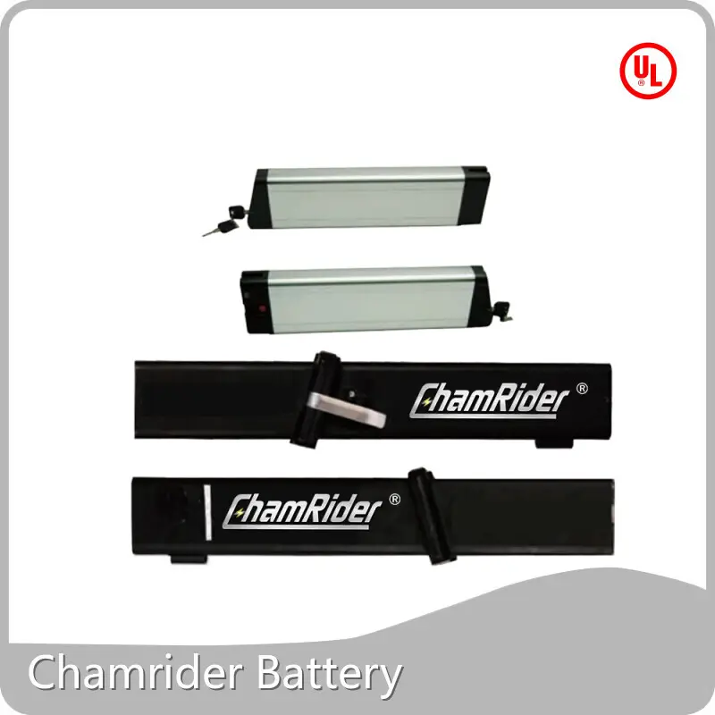 Folding Ebike Battery Supply for Bike Chamrider Battery 1