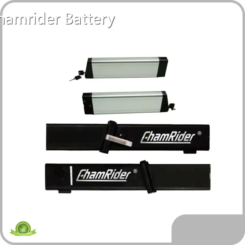 Wholesale Electric Bike Battery Suppliers Factory for Electric Bike 1