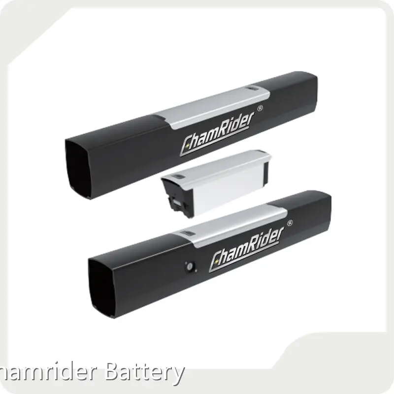 Lithium Ion Battery for Bike Chamrider Battery Brand Supply 1