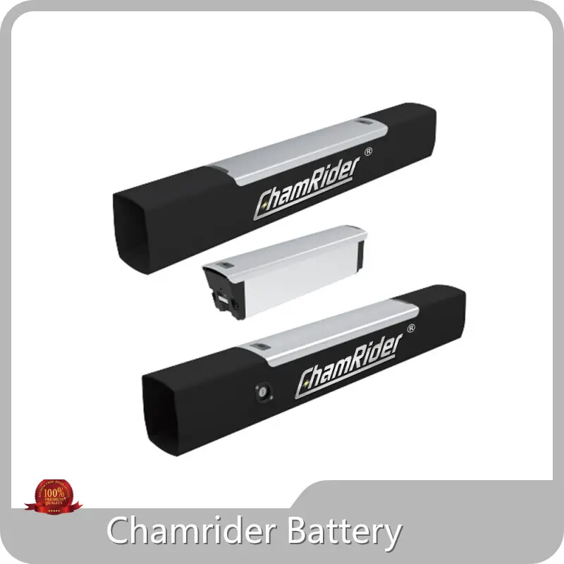 Electric Bicycle Battery Factory Chamrider Battery Brand Factory 1