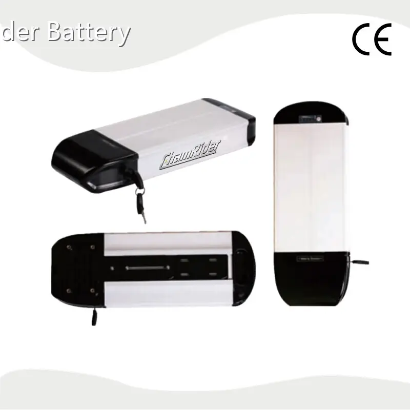 Chamrider Battery | New Electric Bike Battery Brands Supply 1