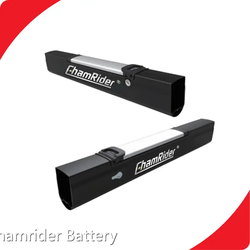 Latest Chamrider Battery Ebike with Integrated Battery - 1