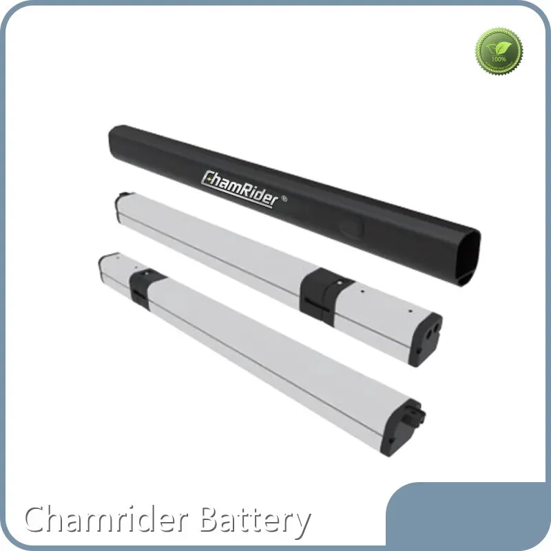 Chamrider Battery Lithium Ion Bike Battery Factory 1
