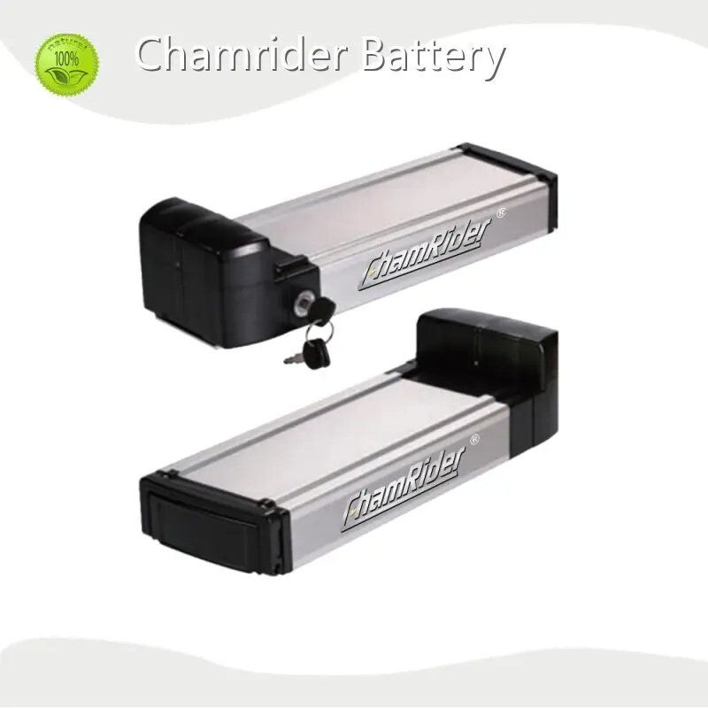 Chamrider Battery | Best Electric Bicycle Battery Factory Suppliers 1