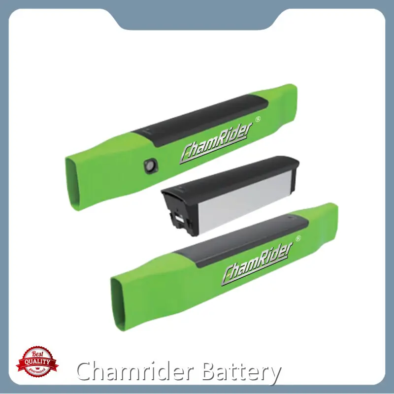 Custom Electric Bicycle Battery Factory Suppliers for Electric Bicycle 1