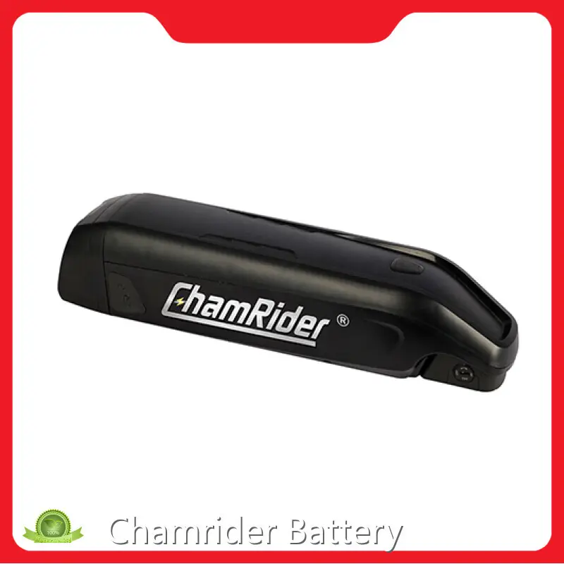 Electric Bicycle Battery Factory Chamrider Battery Company 1