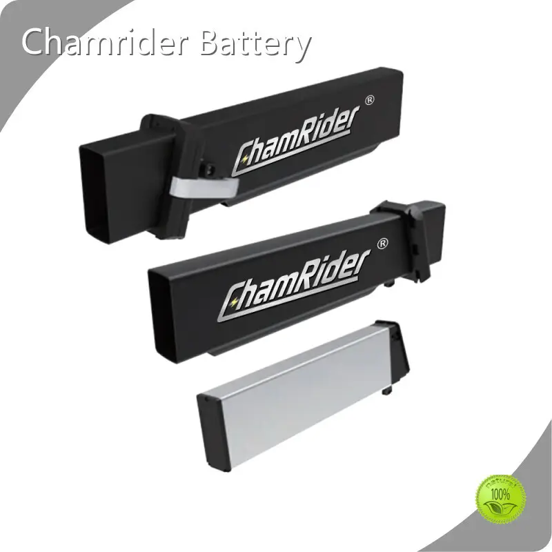 New Lithium Ion Bike Battery Chamrider Battery Brand 1