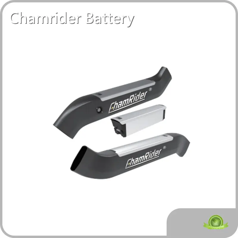 Top Ebike Lithium Battery Company for Electric Bicycle 1