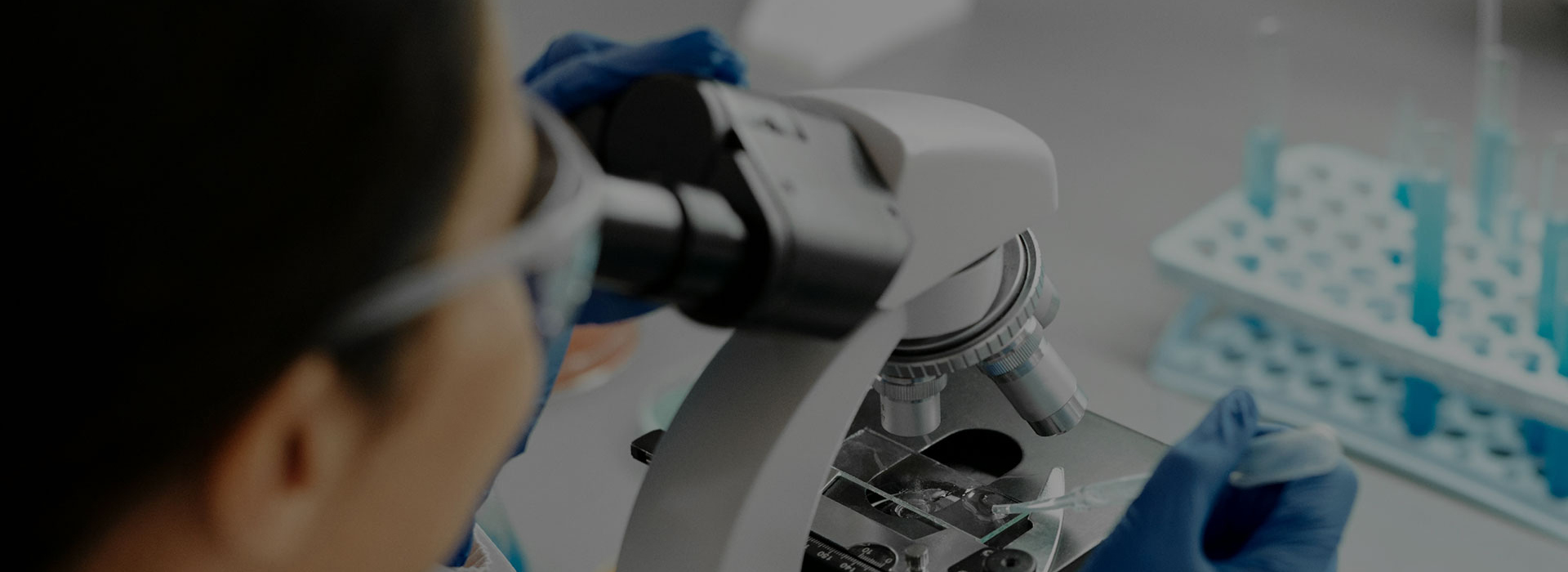 Professional Face Makeup&nbsp;OEM ODM — One-Stop, Compliant Mass Production
                      
                      