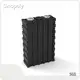 Lithium Ion Prismatic Battery Bulk Buy 1