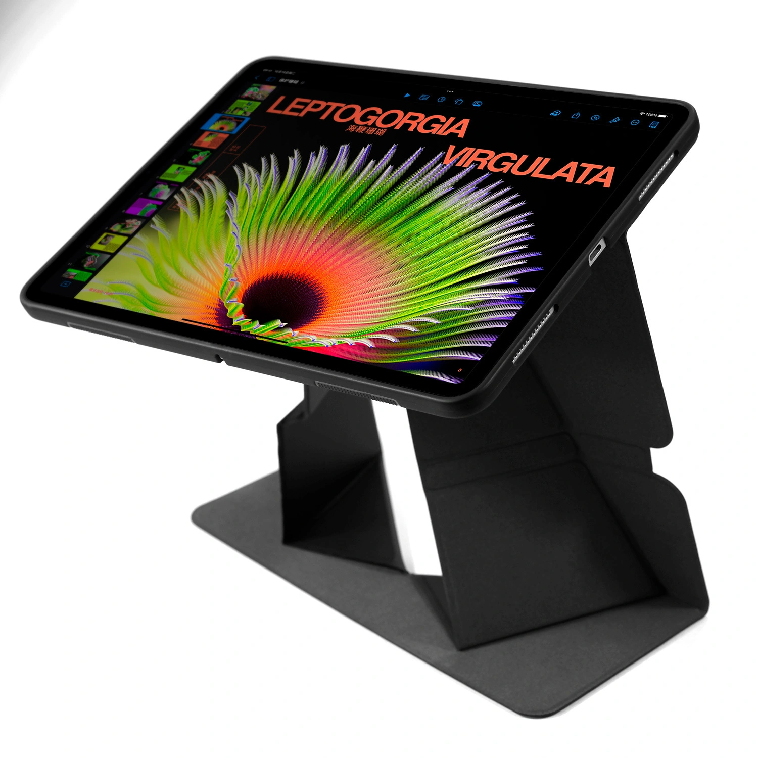 Maßgeschneiderte Ipad-Hülle aus Leder 43g - - 3