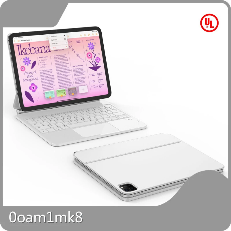 Apple-Zubehörhersteller von-1 1
