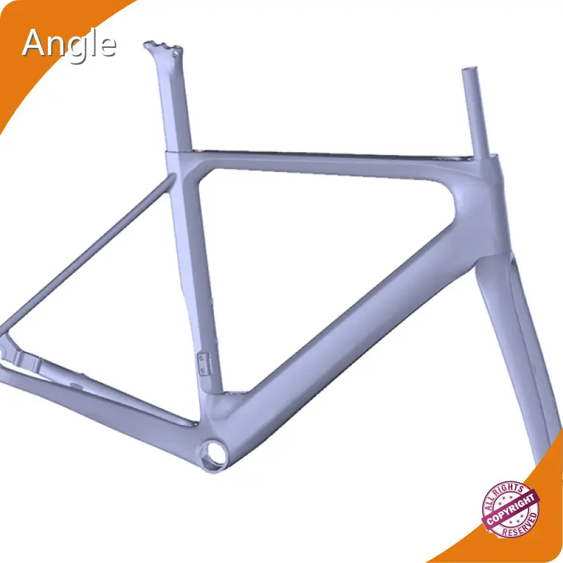 Specialized Ebike Frame Warranty Mondince 1