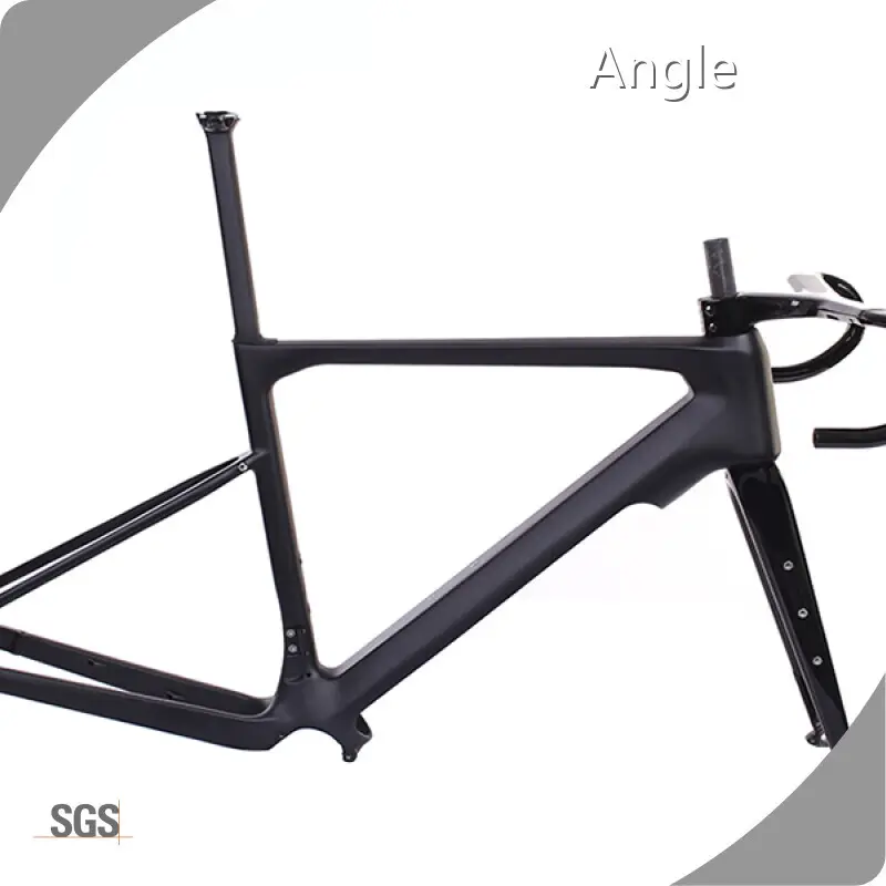 Quality Mondince Brand Custom Ebike Frame 1