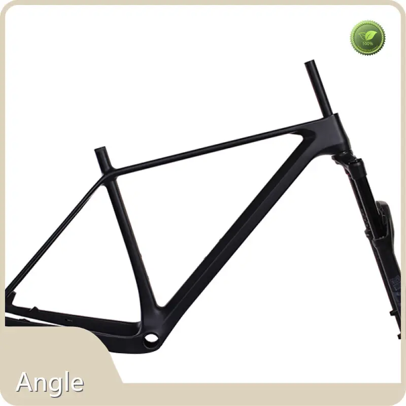 Specialized Carbon Frame Mtb Mondince Manufacture 1