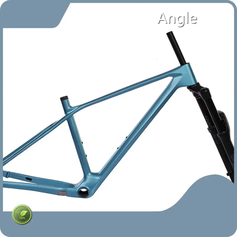 Carbon Mtb Frames for Sale Mondince 1
