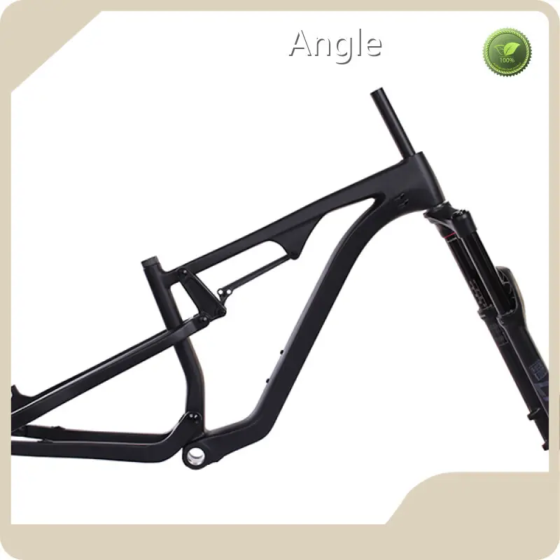 Carbon Mountain Bike Frame Mondince 1