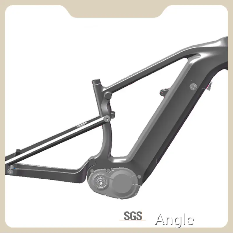 Custom Carbon Frame Ebike Mondince 1