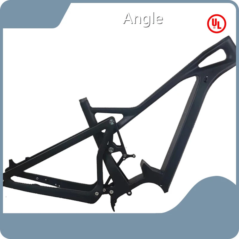 Hotcustom E Bike Frame Mondince Brand 1