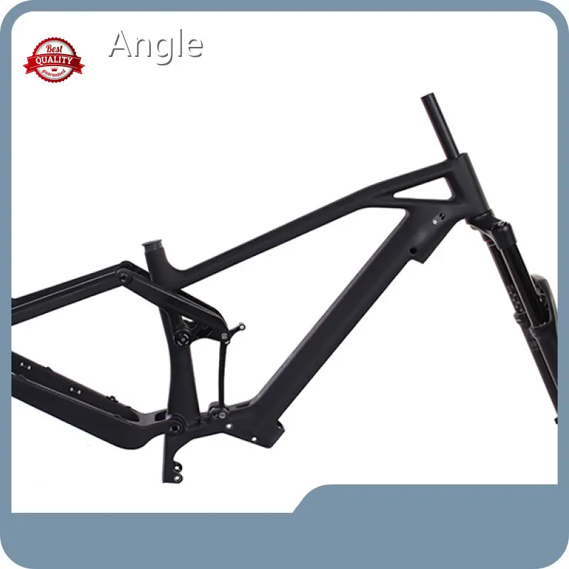 Hotcarbon Electric Bike Frame Mondince Brand 1