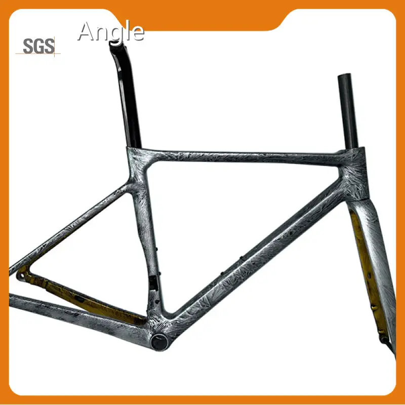 Carbon Frame Road Bike Mondince-1 1